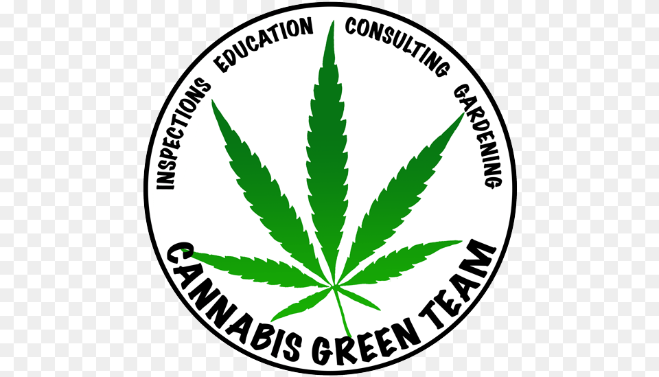 Cannabis Green Team Marijuana Leaf Vector, Plant, Weed, Hemp Free Transparent Png