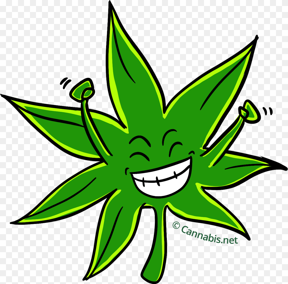 Cannabis Headband Clipart Headband, Green, Leaf, Plant, Animal Png