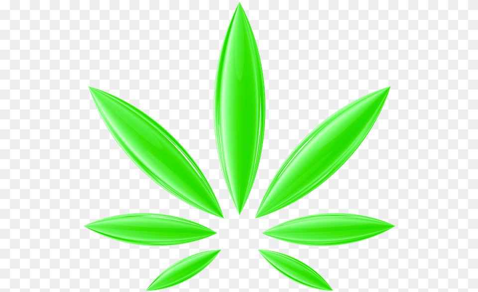 Cannabis Hemp Ganja Herb Bud Marijuana Weed Ganja Transparent, Plant, Green, Leaf, Herbs Free Png Download