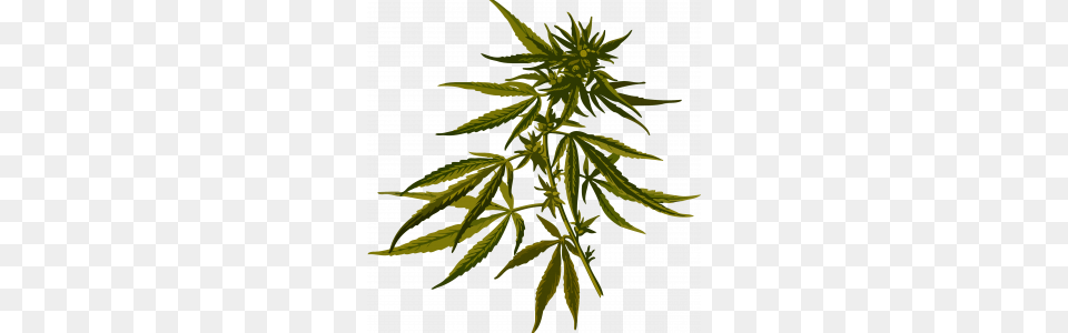 Cannabis Icon Web Icons, Hemp, Plant, Leaf, Weed Png Image