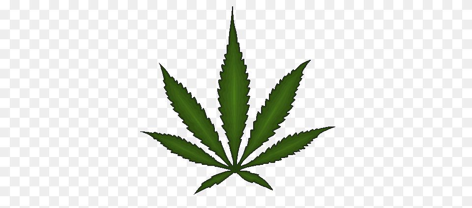 Cannabis Images Download, Leaf, Plant, Weed, Hemp Free Transparent Png