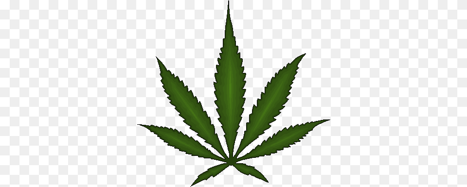 Cannabis Images Smoke Weed Everyday, Leaf, Plant, Hemp Free Png Download