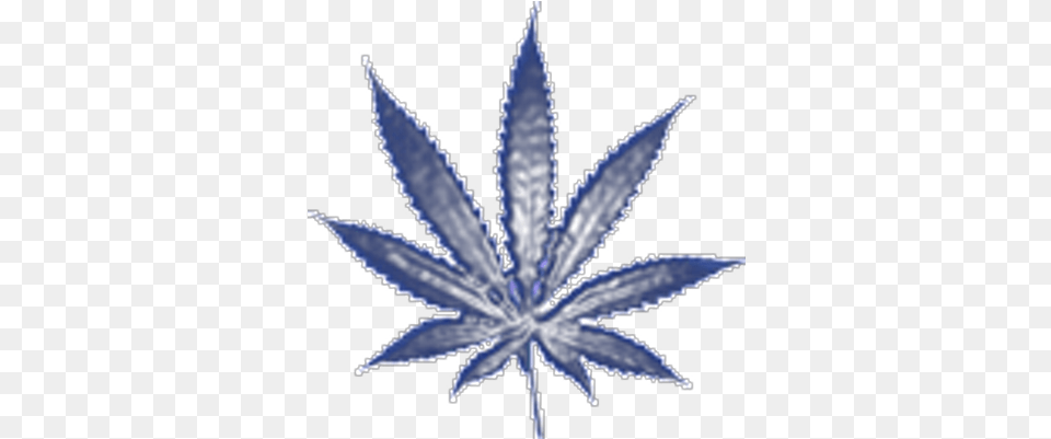 Cannabis Kreations Canabiskreation Twitter Background Weed Leaf, Plant, Animal, Fish, Sea Life Free Transparent Png