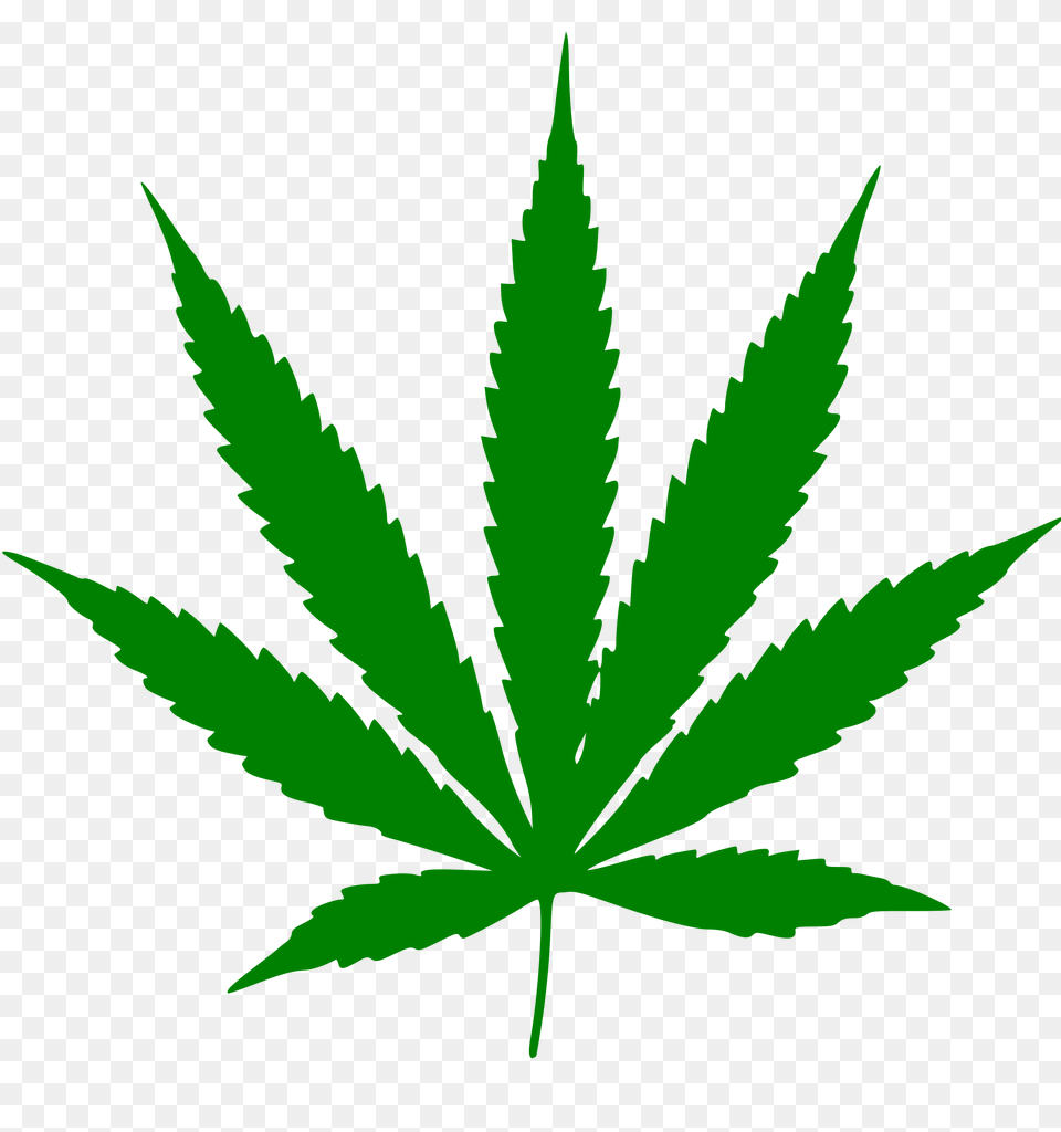 Cannabis Leaf, Plant, Weed, Hemp Png Image