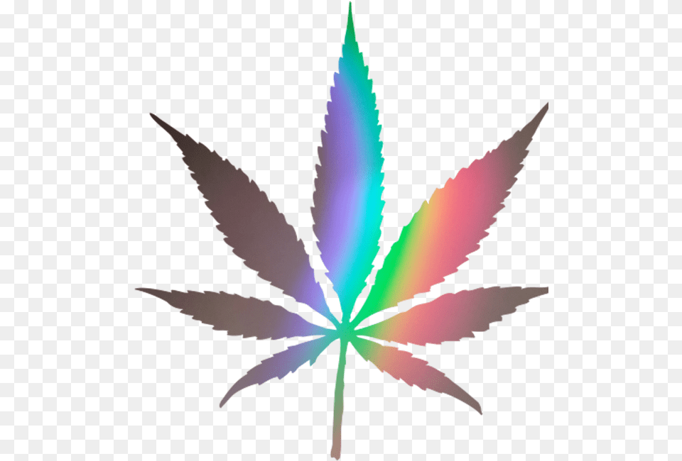Cannabis Leaf, Plant, Weed Free Png Download