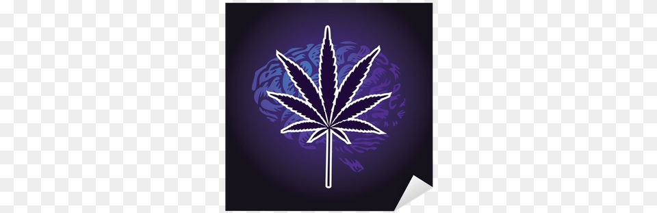 Cannabis Leaf And Human Brain Background Cannabis Help, Plant, Weed Free Transparent Png