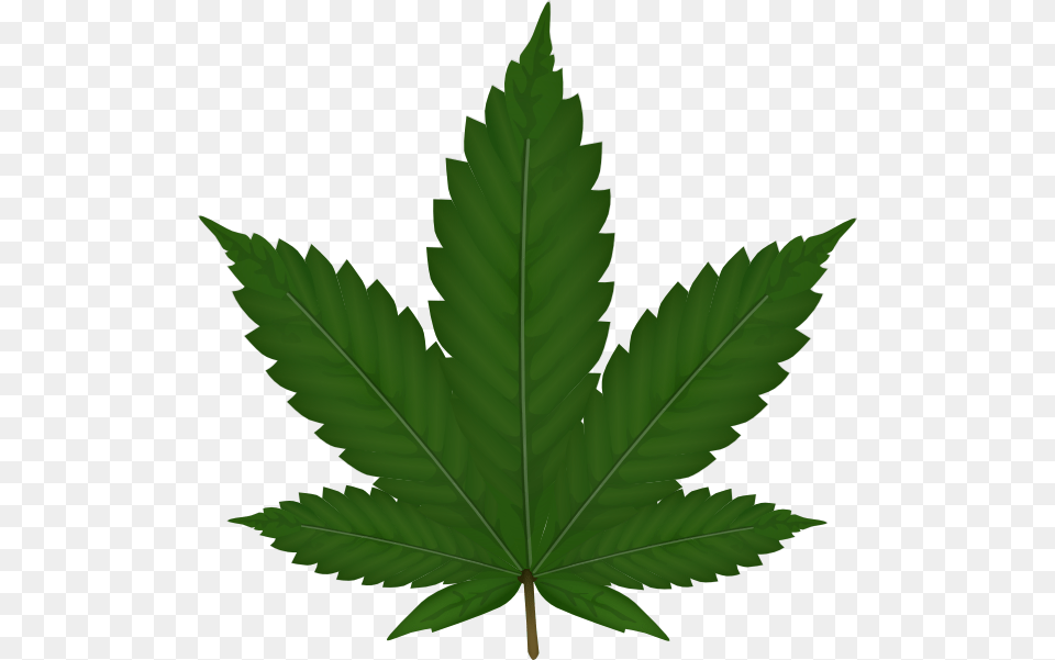 Cannabis Leaf Clip Art, Plant, Tree Free Png Download