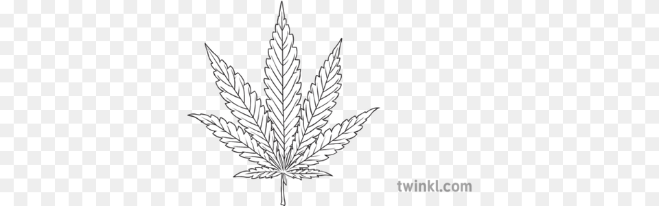 Cannabis Leaf Drug Substance Pot Weed Plant Smoke Dangerous Sketch, Chandelier, Lamp Free Png Download