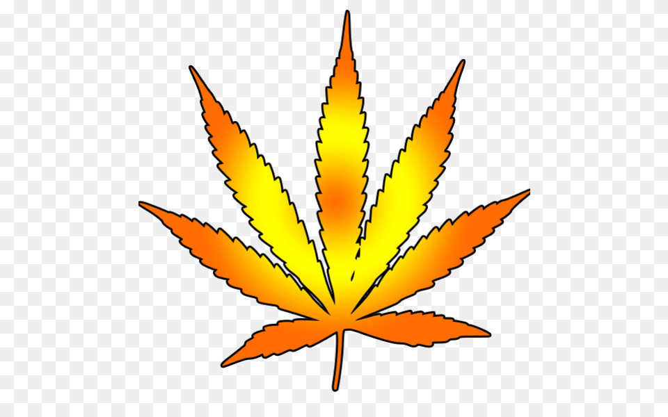 Cannabis Leaf Images, Plant, Weed Free Transparent Png