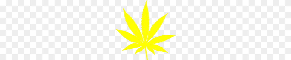 Cannabis Leaf Stars And Stripes Yellow Clip Art For Web, Plant, Weed, Person Free Png