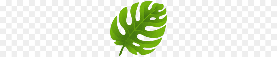 Cannabis Leaf Transparent, Green, Plant, Fern, Moss Free Png