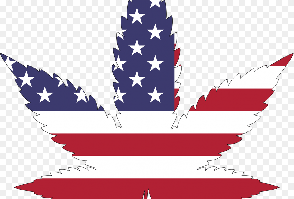Cannabis Leaf Usa Flag, Plant, Animal, Fish, Sea Life Free Transparent Png