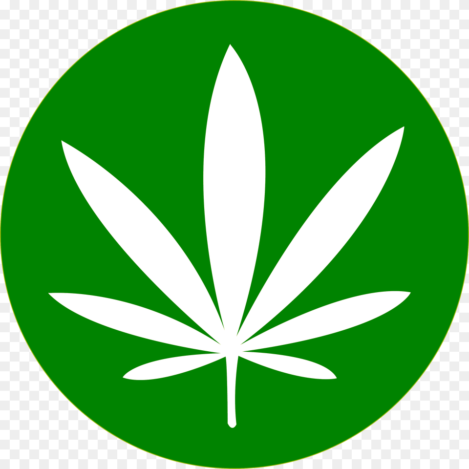 Cannabis Leaf Weed Transparent Background, Plant, Logo, Herbal, Herbs Free Png