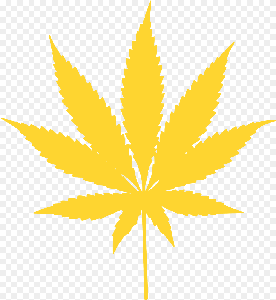 Cannabis Leafs Silhouette, Leaf, Plant, Weed, Hemp Png