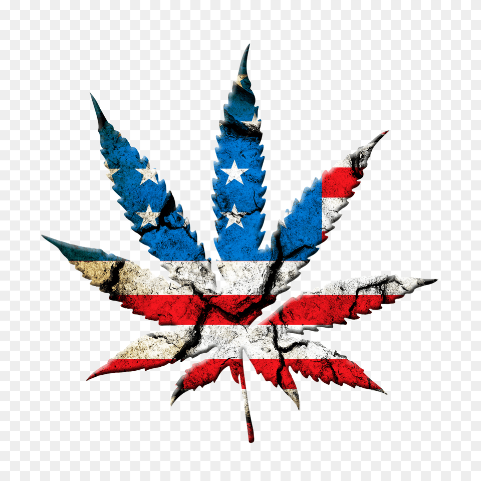 Cannabis Legalization Is The Bipartisan Issue We Need Right Now, Leaf, Plant, Art, Accessories Png Image