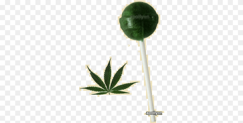 Cannabis Lollipop Cannabis, Food, Leaf, Plant, Sweets Png Image