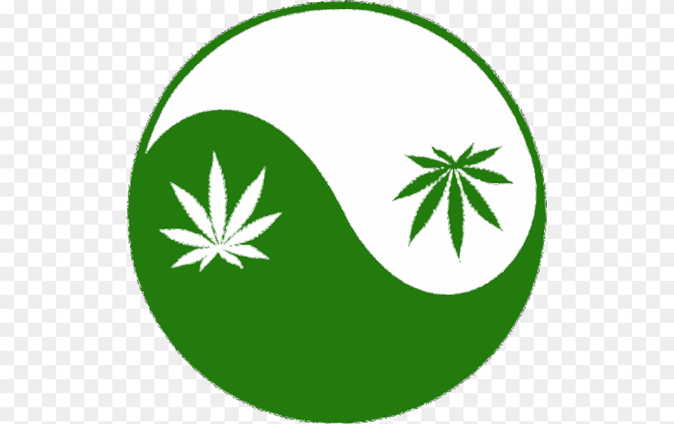 Cannabis Manifesto Dissolving The Stigma Against Nature39s Funny Marijuana, Green, Herbal, Herbs, Plant Free Transparent Png