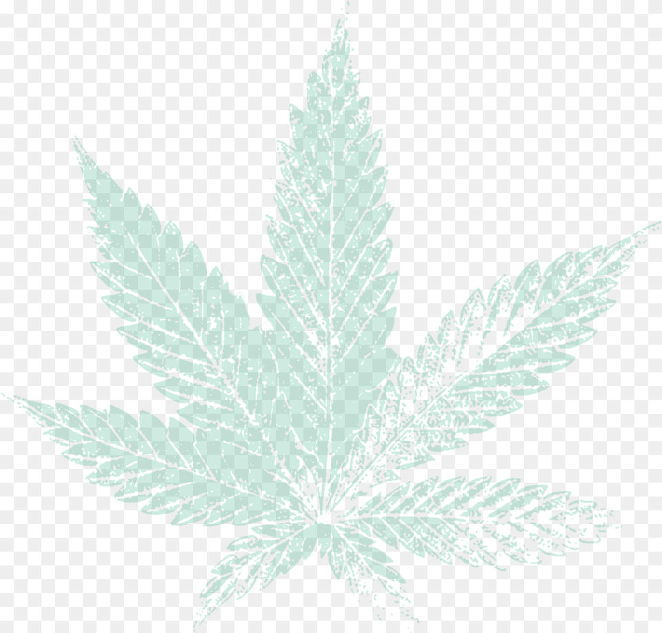Cannabis Marijuana Leaf, Plant, Weed Png