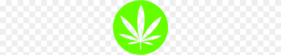 Cannabis Marijuana Leaf Pot Weed Smoke Legalize It, Plant, Hemp, Animal, Fish Png Image