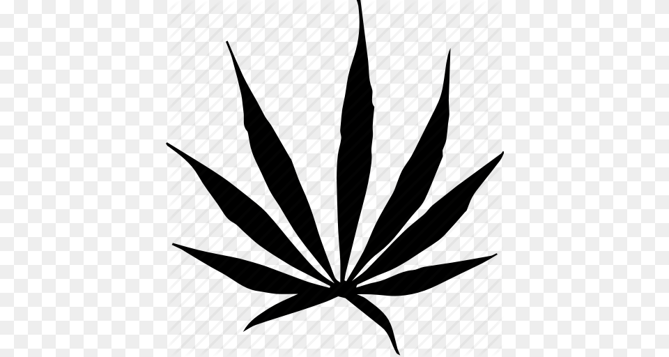 Cannabis Marijuana Sativa Weed Icon, Leaf, Plant Free Png Download