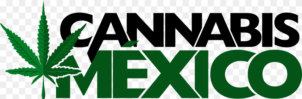 Cannabis Mexico Graphic Design, Green, Plant, Weed, Vegetation Png Image