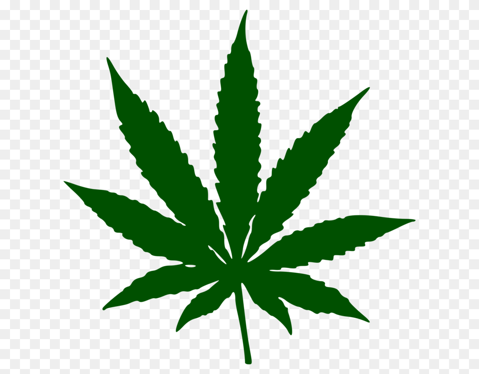 Cannabis Ruderalis Hemp Cannabis Sativa Leaf, Plant, Weed, Person Free Png