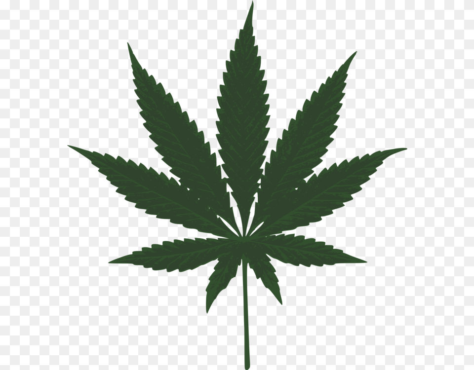 Cannabis Sativa Bong Medical Cannabis Leaf, Plant, Weed, Hemp Free Transparent Png