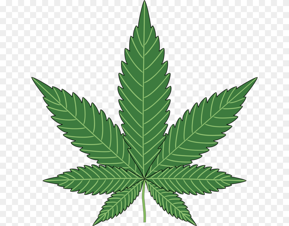 Cannabis Sativa Drug Medical Cannabis Cannabis Smoking Leaf, Plant, Weed, Hemp Free Png Download