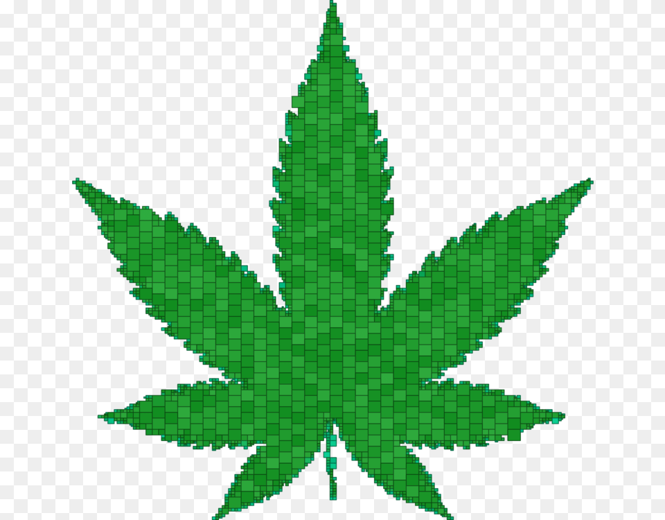 Cannabis Sativa Green Leaf Medical Cannabis, Plant, Tree Free Png