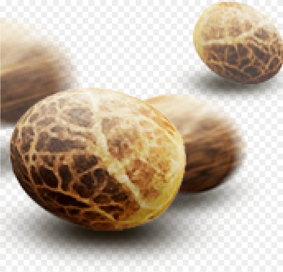 Cannabis Seeds, Food, Nut, Plant, Produce Free Png Download