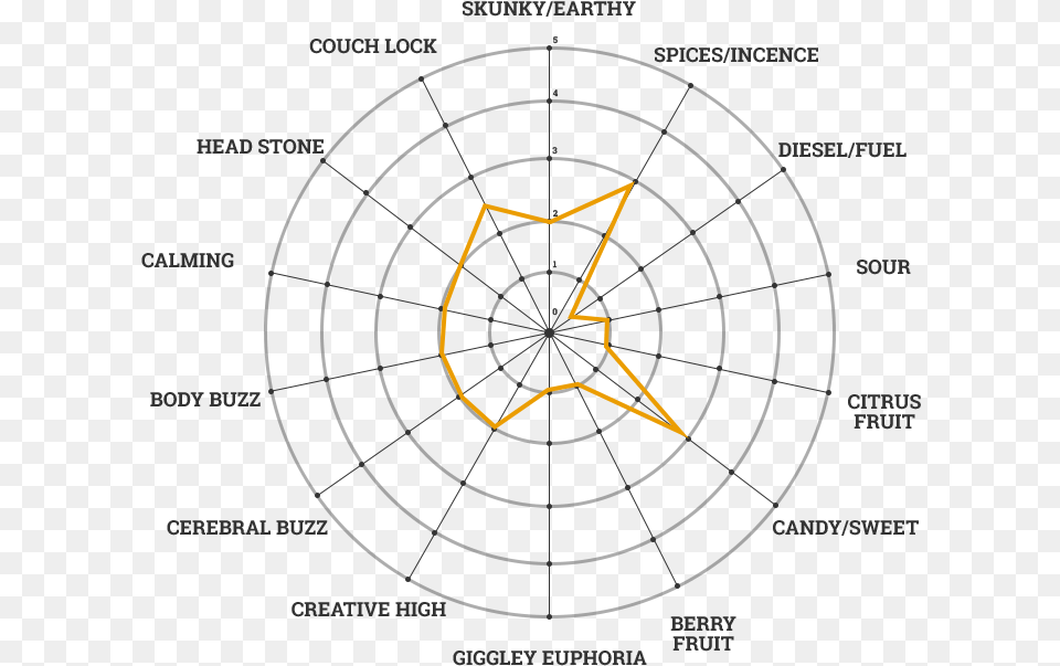 Cannabis Strain Taste Profiles Msnl, Nature, Night, Outdoors, Chandelier Png