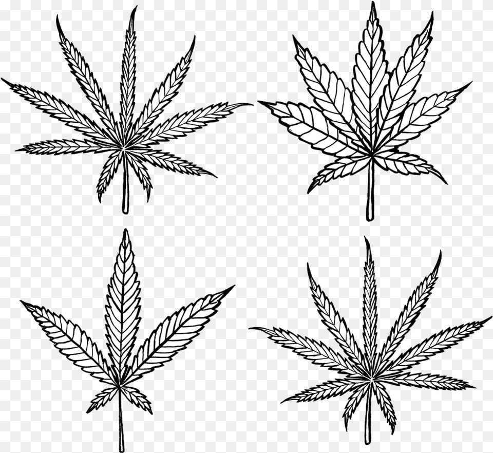 Cannabis Dagga Cannabis Indica Diagram, Leaf, Plant, Stencil, Pattern Free Transparent Png