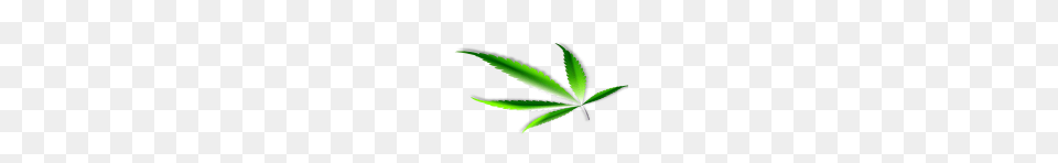 Cannabis Weed Leaf Images, Plant, Herbal, Herbs Png