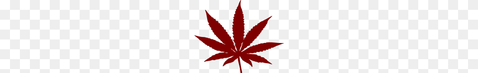 Cannabis Weed Leaf Images, Plant Free Transparent Png