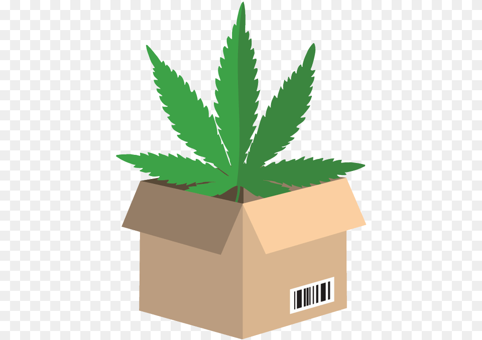 Cannabisbuyer Wholesale Marijuana Leaf, Herbal, Herbs, Plant, Potted Plant Free Png Download