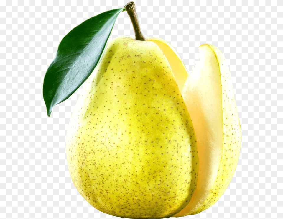 Canned Pears Can, Food, Fruit, Plant, Produce Free Png Download
