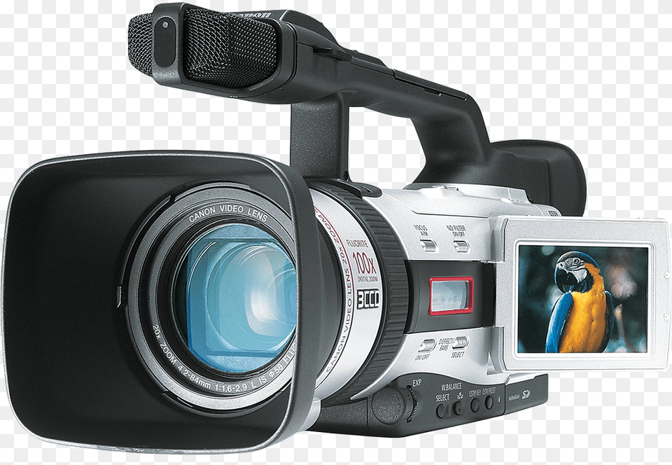 Canon Gl2 Camcorder, Camera, Electronics, Video Camera, Animal Free Png Download