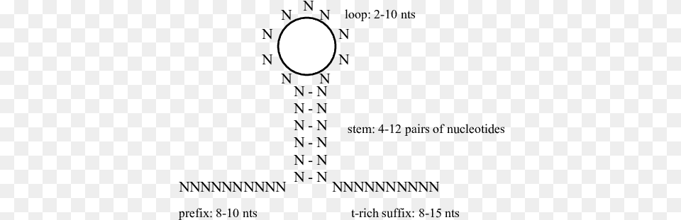 Canonical Terminator Circle, Nature, Night, Outdoors, Astronomy Free Png