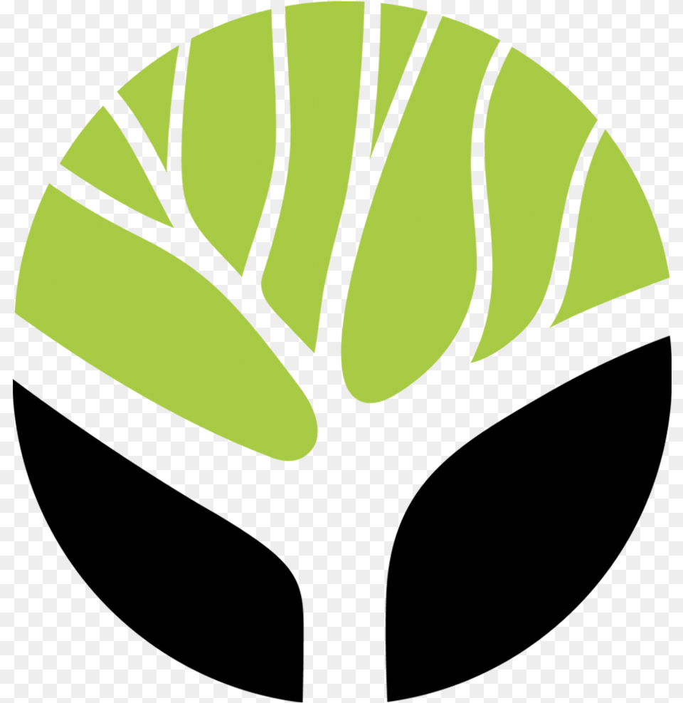 Canopy Care Tree Service, Leaf, Cap, Clothing, Hat Free Transparent Png