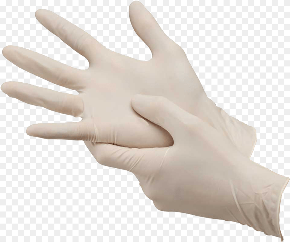 Canpaco Latex Gloves Latex Powdered Examination Gloves, Clothing, Glove, Animal, Fish Free Png Download