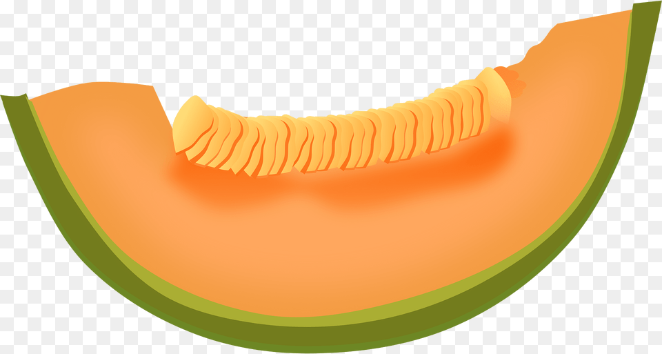 Cantaloupe Clipart, Food, Fruit, Plant, Produce Free Png