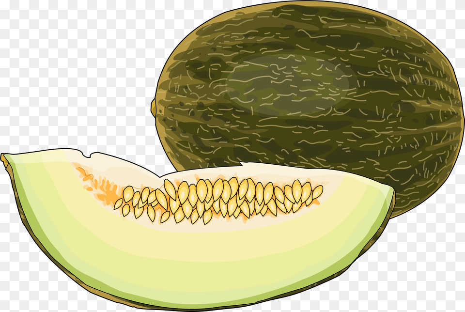 Cantaloupe Dibujo Meln, Food, Fruit, Plant, Produce Png Image