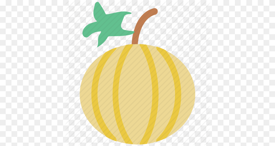 Cantaloupe Melon Food Fresh Fruit Melon Icon, Plant, Produce Png Image
