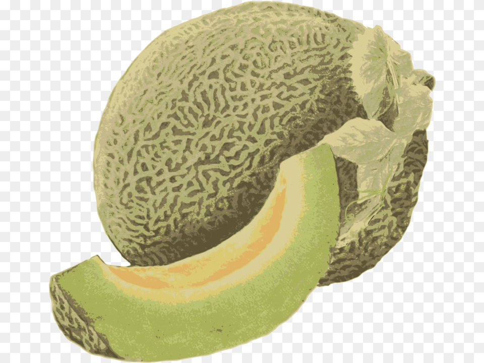 Cantaloupehoneydewfood Honeydew, Food, Fruit, Plant, Produce Free Png