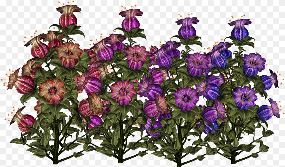 Canterbury Bells, Purple, Plant, Pattern, Flower Free Transparent Png