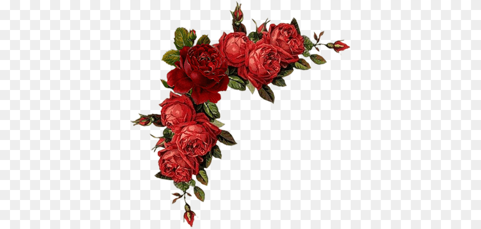 Cantos De Flores Do Vintage Em Red Flowers, Art, Floral Design, Flower, Graphics Free Transparent Png