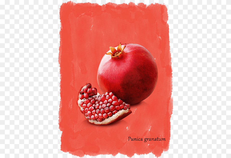 Canvas, Apple, Food, Fruit, Plant Free Transparent Png