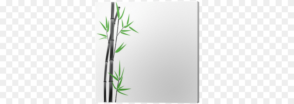 Canvas, Bamboo, Plant Free Png