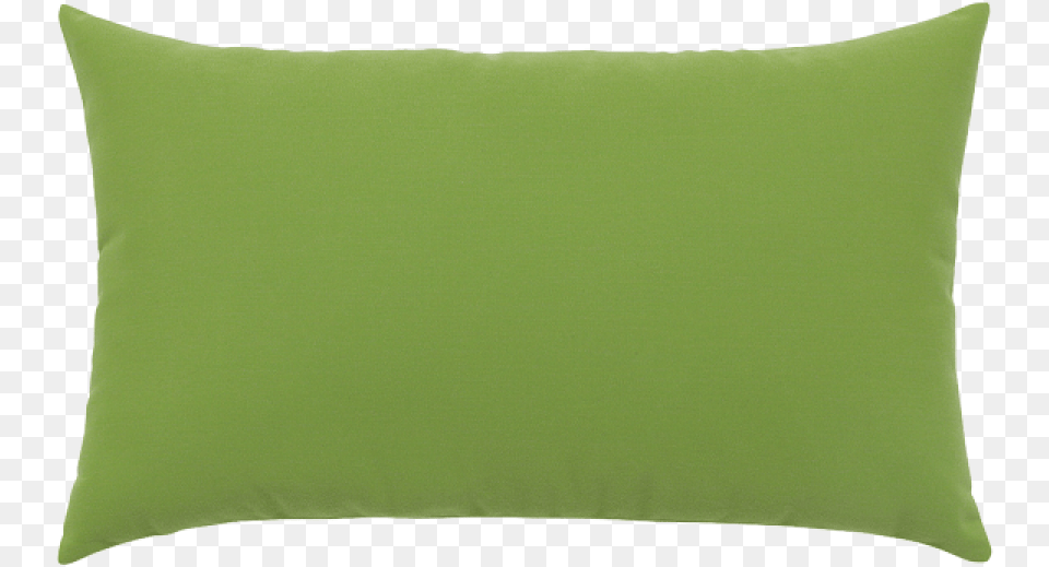 Canvas Ginkgo Essentials Lumbar Pillow Coussin Boris Cactus Vivaraise, Cushion, Home Decor, Blackboard Free Png