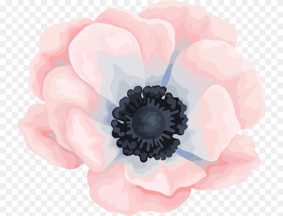 Canvas Painting Of Flowers Water Color, Anemone, Flower, Plant, Petal Free Png